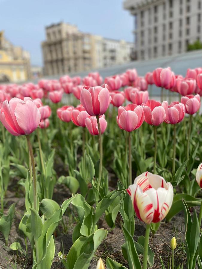 Однокімнатні Апартаменти На Майдані, Дистанційне Заселення 24Х7 เคียฟ ภายนอก รูปภาพ